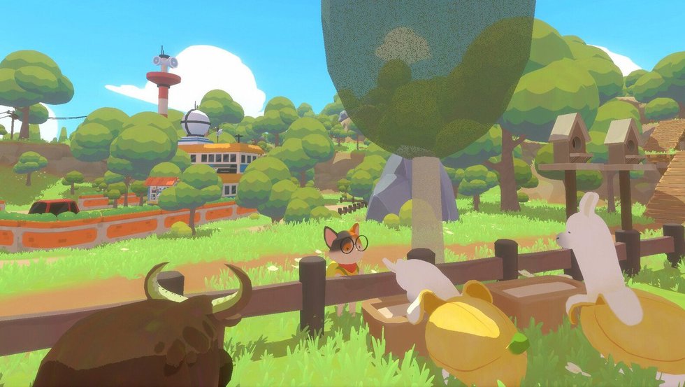 Petit Island review