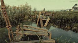 Back in the Swamp review